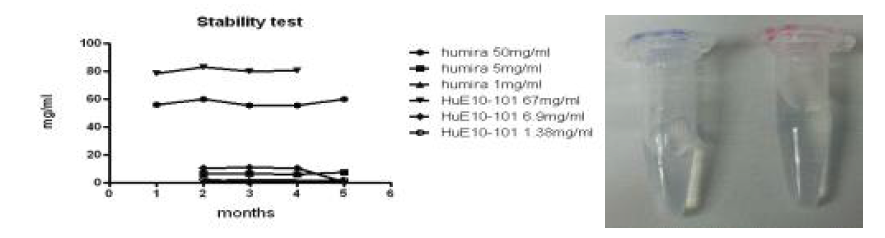 HuE10-101의 단백질 농도 변화