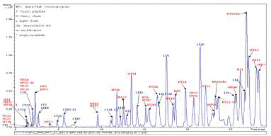 HuE10-101 시료의 LC-MS peptide mapping 프로파일 및 피크 분석 (retention time: 0~29 min)