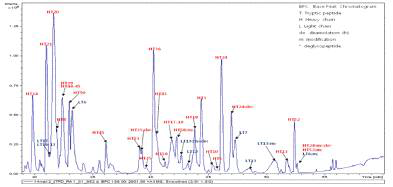 HuE10-101 시료의 LC-MS peptide mapping 프로파일 및 피크 분석 (retention time: 29~60 min)