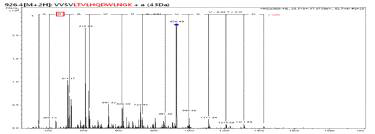 HT24(m)(de) peptide의 LC-MS/MS sequencing