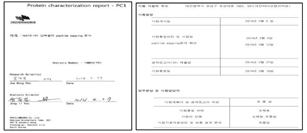 HuE10-101의 펩티드 분석 보고서