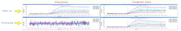 ProteOn XPR36을 통한 Humira 와 HuE10-101의 TNF-α 및 CXCL10과의 결합력 평가