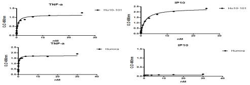 HuE10-101과 Humira의 항원 TNF-α 및 CXCL10에 대한 ELISA 분석