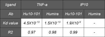 HuE10-101 및 Humira의 ELISA에 의한 KD value 측정값