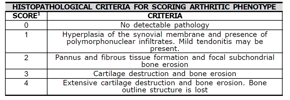 Histopathology scoring system