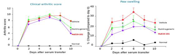 K/BxN serum transfer arthritis 마우스 모델의 관절염 유발 점수 (arthritic score)와 부종 증가율 (Paw swelling) 측정 결과