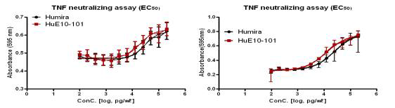 항체의 항TNF-α 중화능 평가