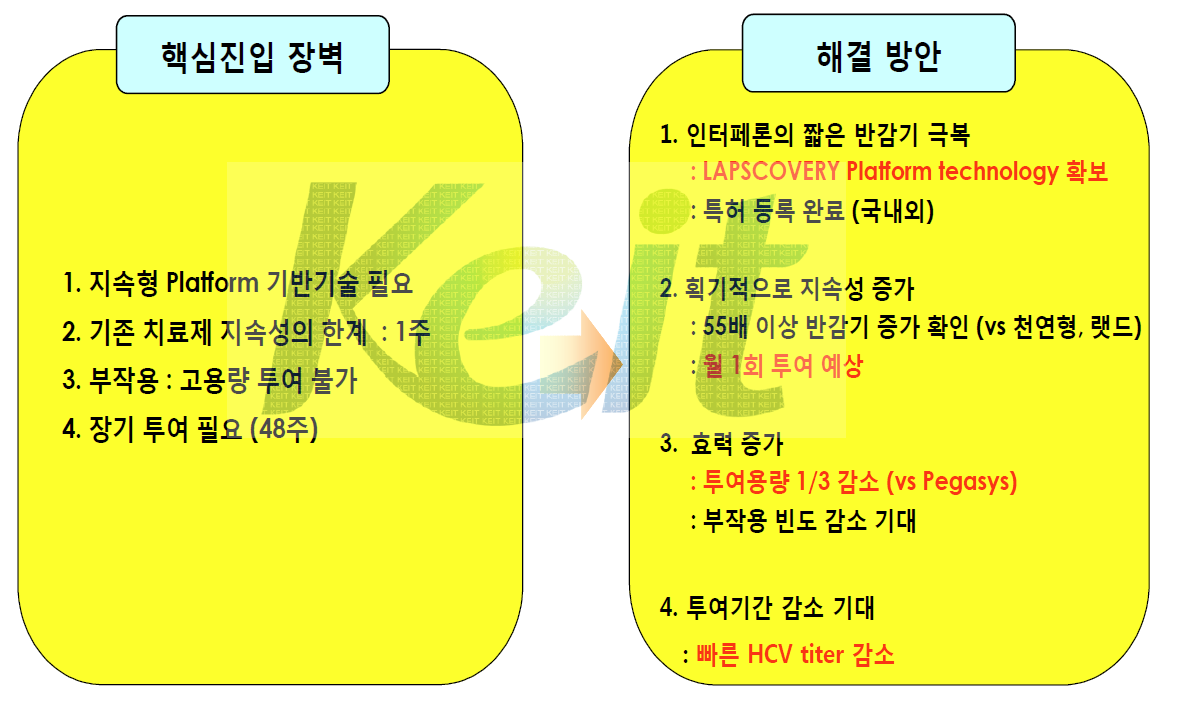 진입 장벽 극복 및 핵심 경쟁 요소