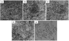 TEM images of 800oC - 16h aged catalysts