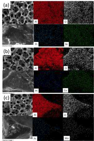 복합나노입자 코팅 된 금속지지체의 주사전자현미경 사진 및 EDS 분석결과