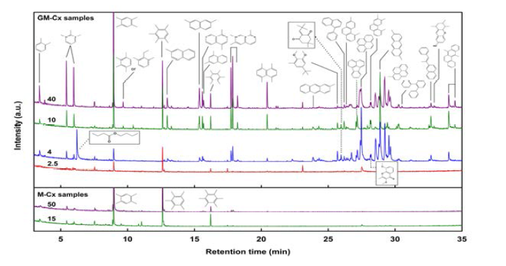 코크 추출 기반 GC-MS 크로마토그램