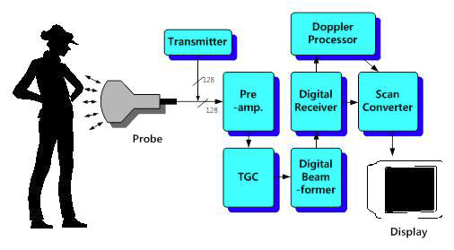 일반적인 초음파 시스템의 구성