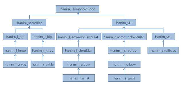 H-Anim 인체 관절의 계층 구조