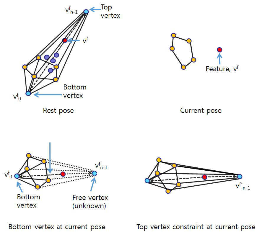 경계 정점(노란색)과 대표 정점(붉은색)의 위치가 바뀔 때 2개의 가상의 정점을 구하는 예로 하단 정점은 기본 포즈와 현재 포즈의 회전량을 구하여 적용한다. 상단 정점은 하단 정점을 구할 때 이용한 회전량을 적용한 위치를 제한조건으로 하고 동시에 대표 정점의 3D MVC값을 유지하도록 위치를 정한다.