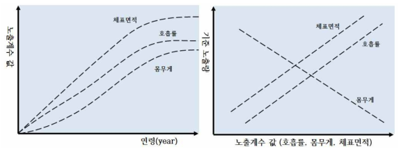 노출계수와 연령, 노출계수와 기준 노출량과의 상관관계