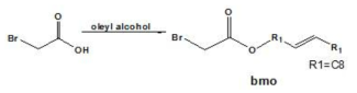 bromomethyl oleate의 합성 scheme.