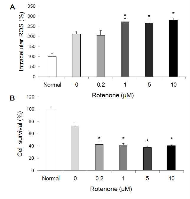 Mitochondrial complex I의 억제제인 rotenone 처리에 의한 저산소-허혈 모델에서의 세포내 ROS 수준과 세포생존율 변화