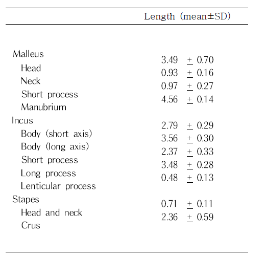 각 이소골의 해부학적 부분에 대한 길이(mm)