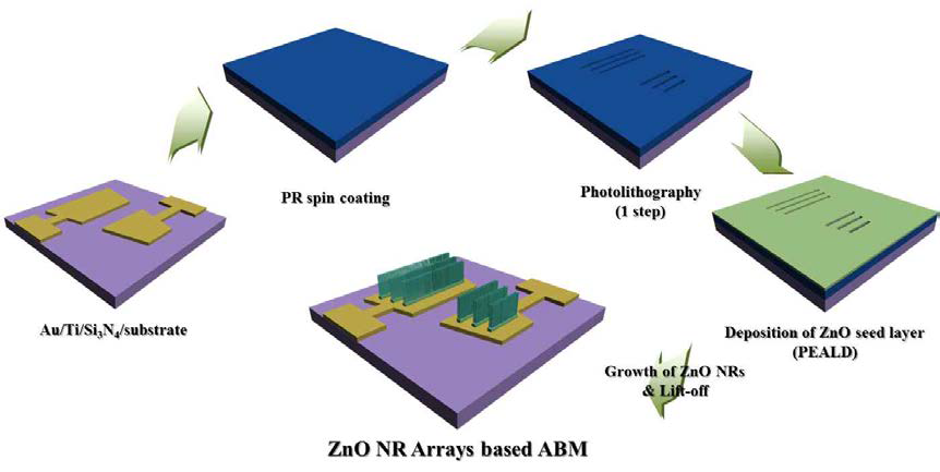 Single-step photo-lithography 법을 이용한 ABM 제조 공정 모식도(Type-1)