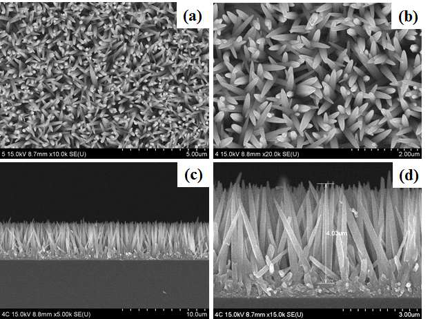 Single-step photo-lithograpy (Type-1) 방법으로 성장 시킨 ZnO 나노필라의 표면(a-b)과 측면(c-d)을 보여주는 FESEM 이미지.