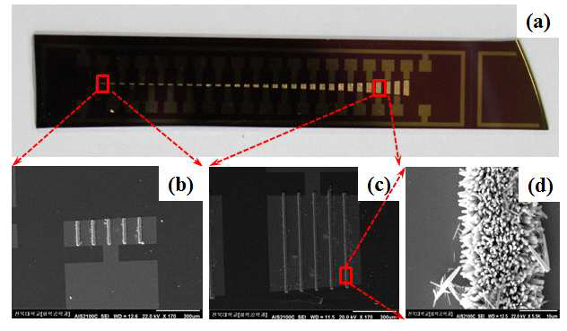 Single-step photo-lithography (Type-2) 방법으로 제조된 (a) 압전 나노필라를 이용한 인공유모세포용 나노소자의 이미지와 (b-d) 성장된 나노필라의 FESEM 이미지.