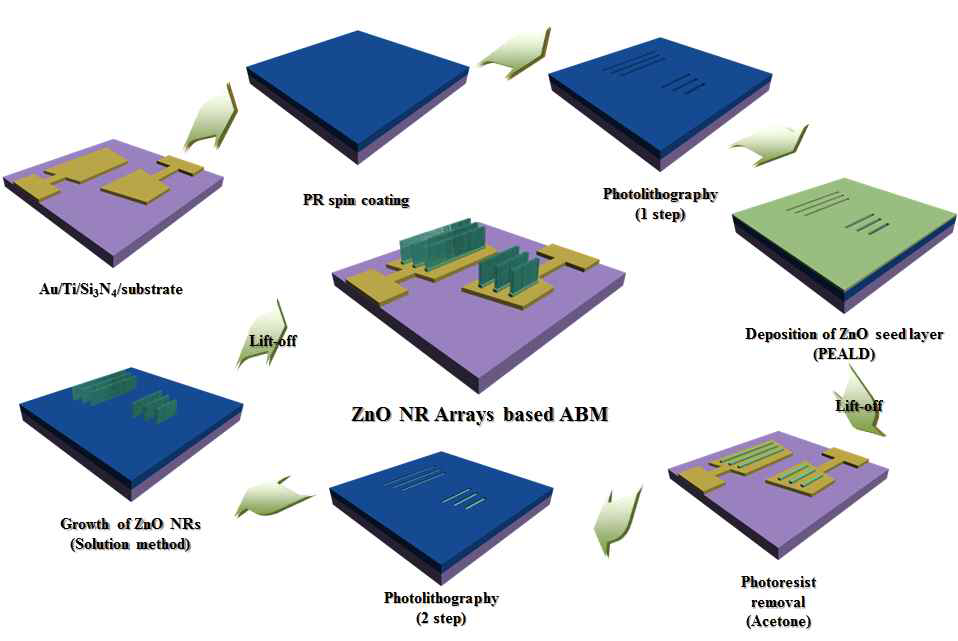 Two-step photo-lithography 법을 이용한 ABM 제조 공정 모식도.