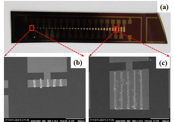 Two-step photo-lithography 방법으로 제조된 (a) 압전 나노 필라를 이용한 인공유모 세포용 나노소자의 이미지와 (b-c) 성장된 나노필 라의 FESEM이미지.