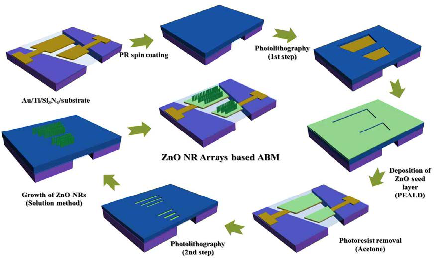 Two-step photo-lithography 법을 이용한 ABM 제조 공정 모식도.
