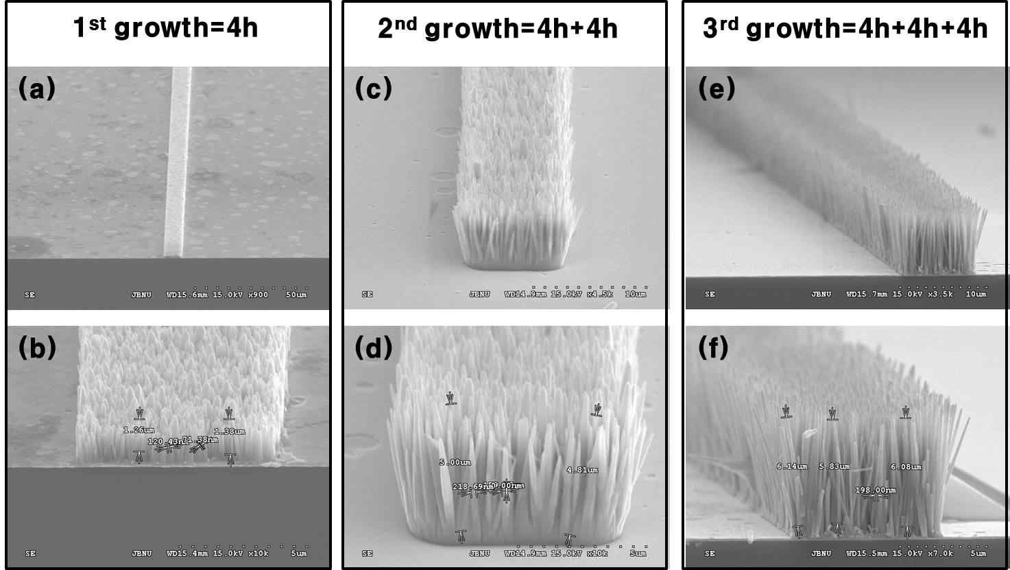 Two-step photo-lithograpy 방법으로 4시간씩 교대로 시약을 교환 한 후 3차에 걸쳐 동안 성장시킨 ZnO 나노필라를 보여주는 FESEM 이미지.