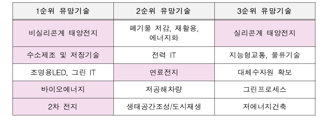 유망 Seed 사업 후보분야