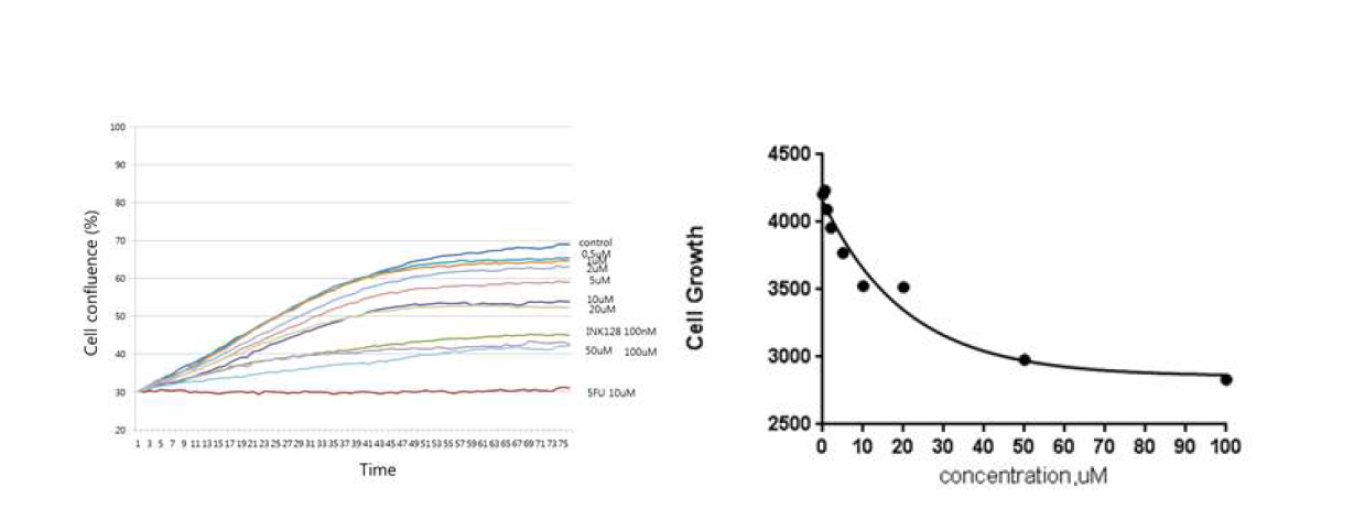 BC-LI-0090 화합물의 SW620 세포 성장 억제 효과