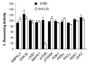 BC-LI-0186에 대한 in vitro kinase 억제 효과