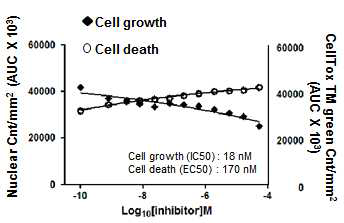 BC-LI-0186 화합물의 SW620 세포 성장 억제 및 사멸 유도 효과