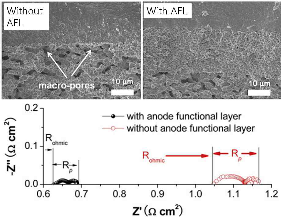 half-cell 측정 시 음극 기능 층의 전기화학특성에 대한 영향