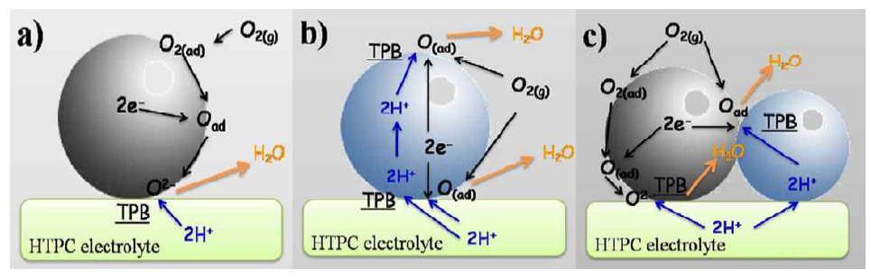PCFC 양극의 전극 반응 모델