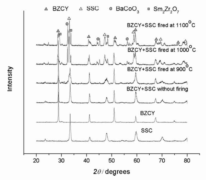 열처리 온도에 따른 BCZY-SSC XRD 결과