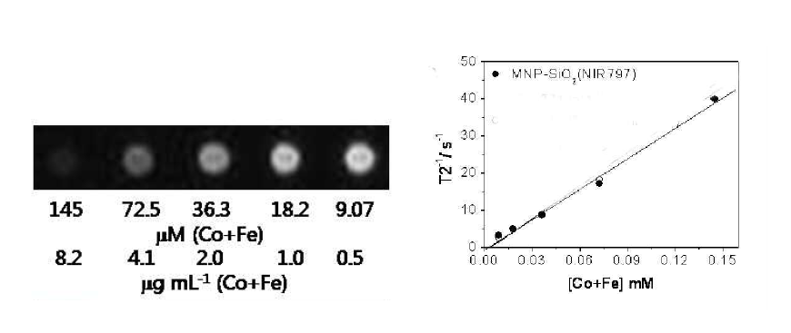 NIR-코어 실리카 나노입자가 의 MRI 조형 효과 테스트