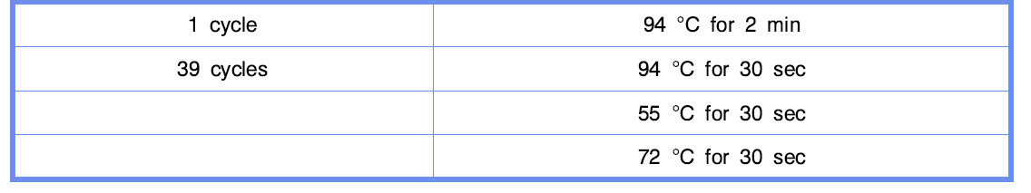 PCR cycle