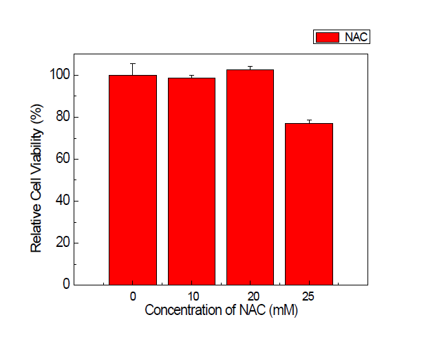 NAC 농도별 처리 후 세포생존율(MTT assay)