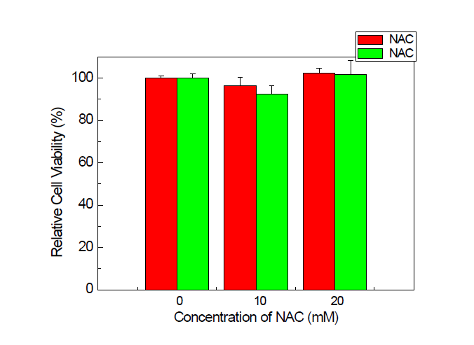 NAC 농도별 처리 후 재연 세포독성시험 (MTT assay)