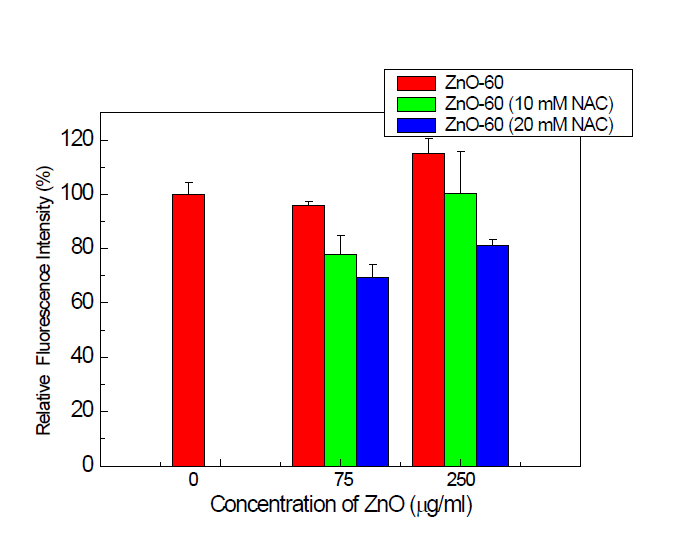 NAC 농도별 처리 후 ZnO 의 세포생존율 (MTT assay)