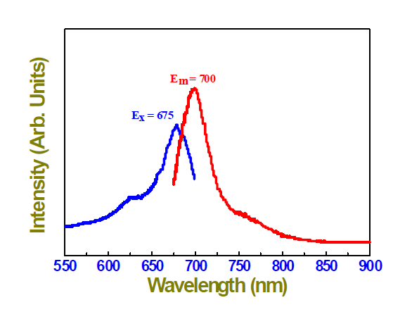 2차 합성된 FPR675-코어 실리카 나노입자의 형광 분석 (in borate buffer).