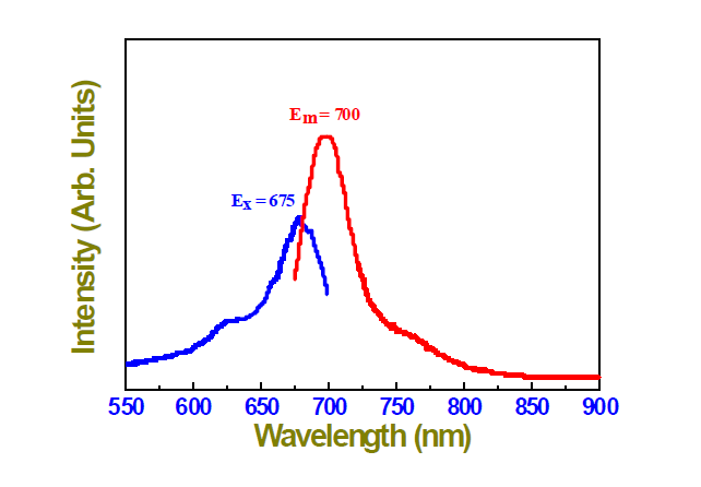 3차 합성된 FPR675-코어 실리카 나노입자의 형광 분석 (in borate buffer).