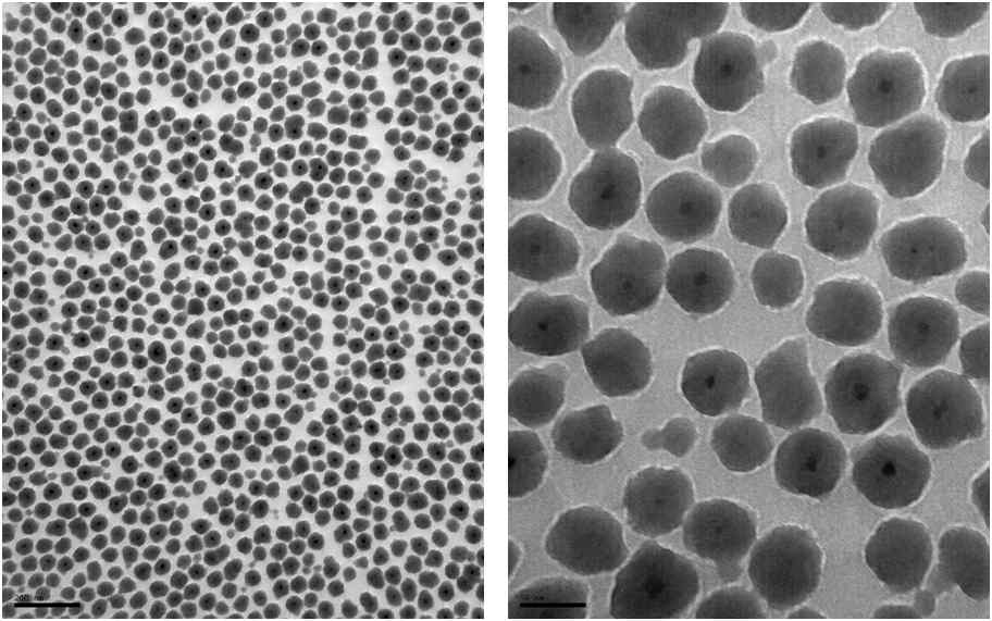 NIR730-코어 실리카 나노입자의 TEM (1차 제조 : 48.0 ± 2.1 ㎚).