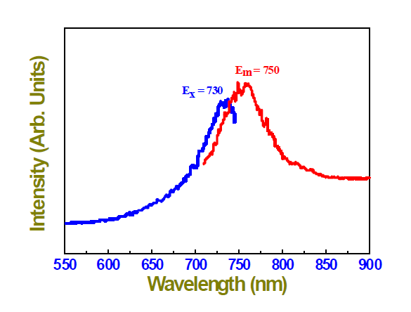 1차 합성된 NIR730-코어 실리카 나노입자의 형광 분석 (in borate buffer).