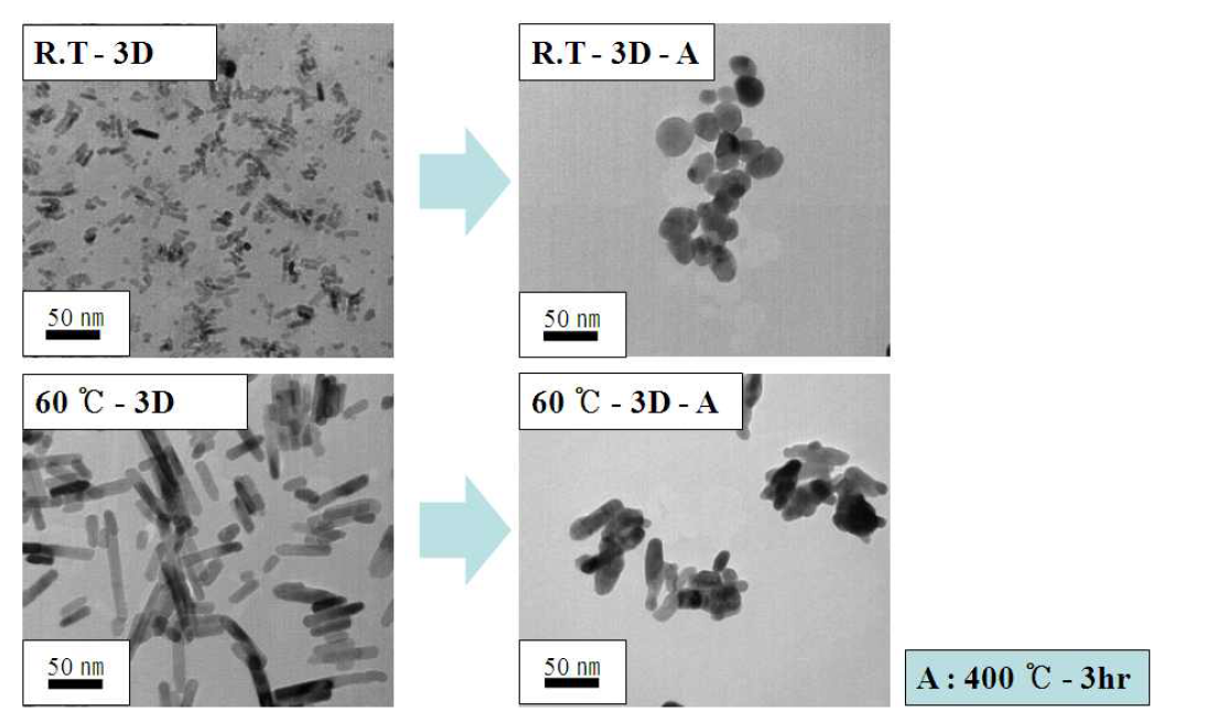 ZnO 의 열공정(400 ℃) 후 TEM 결과