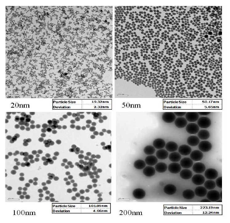 입자의 크기별 RITC-실리카 나노입자의 TEM 결과