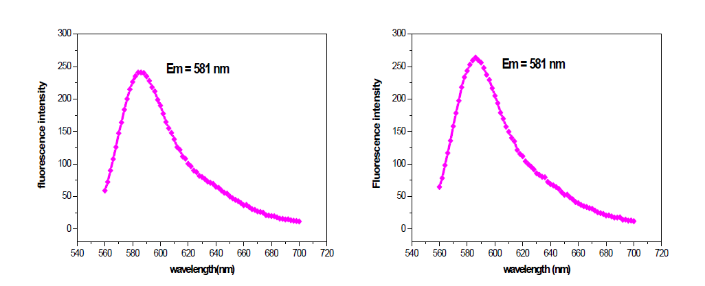 50 nm RITC-실리카 나노입자의 PL (photoluminescence)