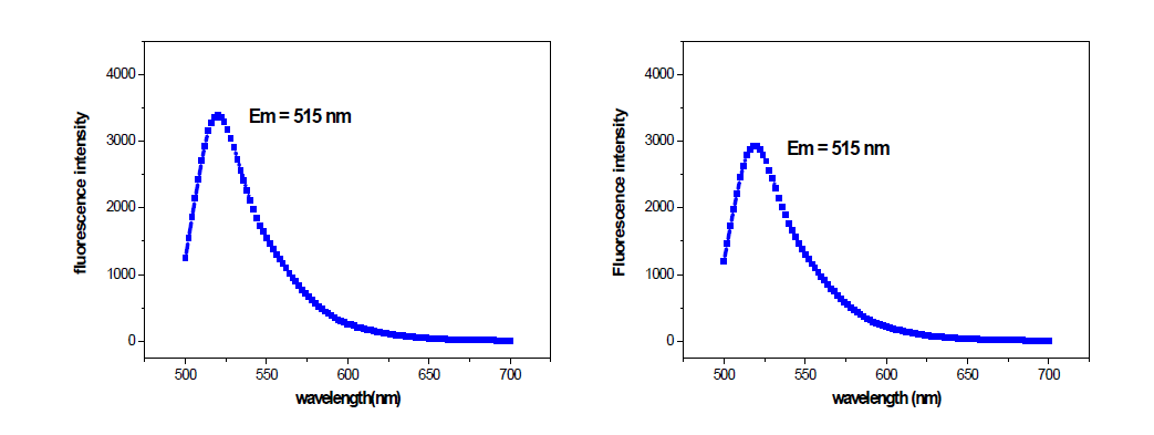 50 nm FITC-실리카 나노입자의 PL (photoluminescence)