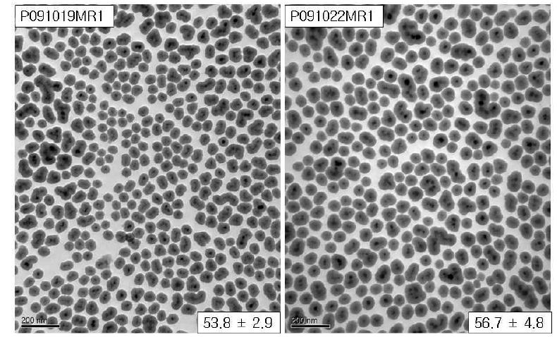 RITC-코어 실리카 나노입자의 TEM